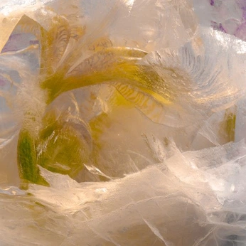 A cover of "--|  |--" cluster. The owner is arshabarsha. The cluster description is "awe". The cluster consists of 170 elements.