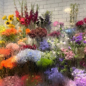 A cover of "euphoria" cluster. The owner is angiewidmerr. The cluster consists of 17 elements.