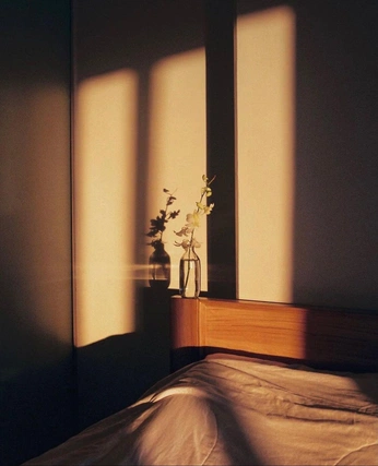 A cover of "Photo" cluster. The owner is siwise. The cluster consists of 1 element.