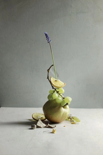 A cover of "Natural Still Life" cluster. The owner is williamcallan. The cluster consists of 8 elements.