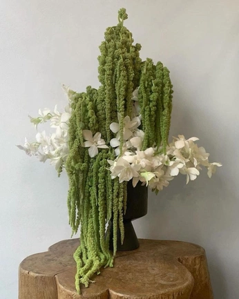 A cover of "fleurs" cluster. The owner is eleanorelf. The cluster consists of 1 element.