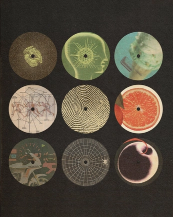 A cover of "pokedex" cluster. The owner is xarchisx. The cluster consists of 9 elements.