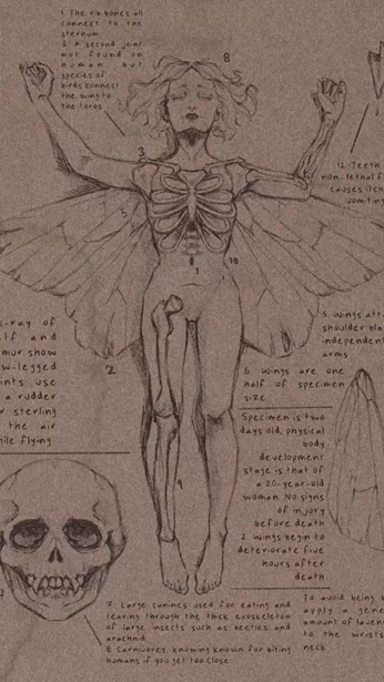 A cover of "Art poses" cluster. The owner is raevenmad. The cluster consists of 2 elements.