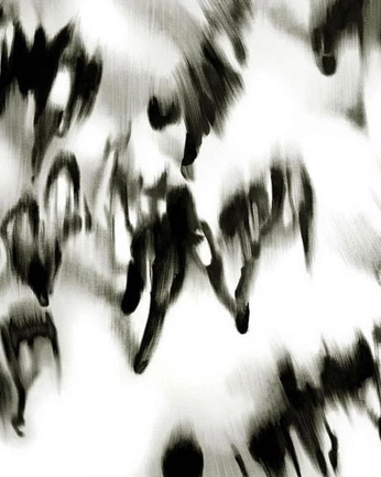 A cover of "Photography" cluster. The owner is somsupanuch. The cluster consists of 13 elements.