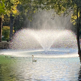 A cover of "magnolia sundays" cluster. The owner is saintroux. The cluster description is "a soft, slow life ". The cluster consists of 42 elements.