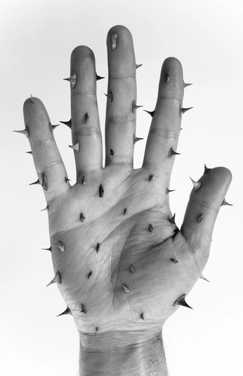 A cover of "PProduction" cluster. The owner is uchixam11. The cluster consists of 4 elements.