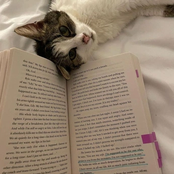 A cover of "I love this little life" cluster. The owner is nostalgelle. The cluster consists of 85 elements.