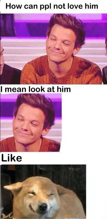 A cover of "music" cluster. The owner is intothefaewoods. The cluster consists of 456 elements.