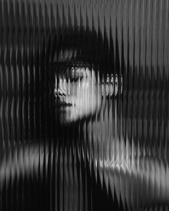 A cover of "Portraits" cluster. The owner is mintran. The cluster consists of 12 elements.