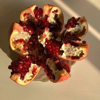 A cover of "🍂" cluster. The owner is xlettuce. The cluster consists of 5 elements.