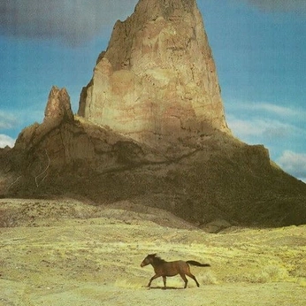 A cover of "WILD WILD WEST" cluster. The owner is evascosmos. The cluster consists of 11 elements.