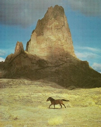 A cover of "yeehawwww" cluster. The owner is cghirardini. The cluster consists of 90 elements.