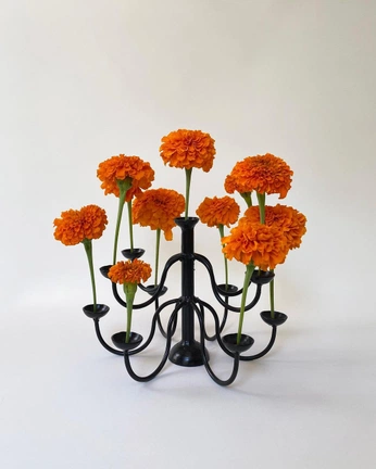 A cover of "Accessories" cluster. The owner is mollerstudio. The cluster consists of 11 elements.