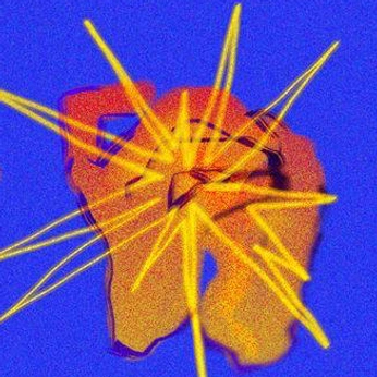 A cover of "Kust Akatzii" cluster. The owner is akatzii. The cluster description is "the essence that I have to realize/breath life into.". The cluster consists of 110 elements.