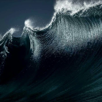 A cover of "FORMA" cluster. The owner is caixeta. The cluster consists of 115 elements.