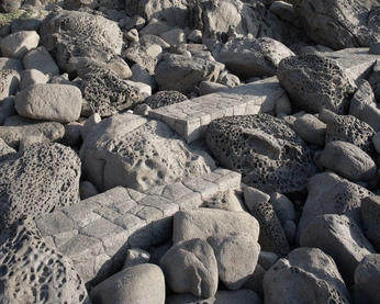 A cover of "landscape architecture" cluster. The owner is alightintheattic. The cluster consists of 27 elements.