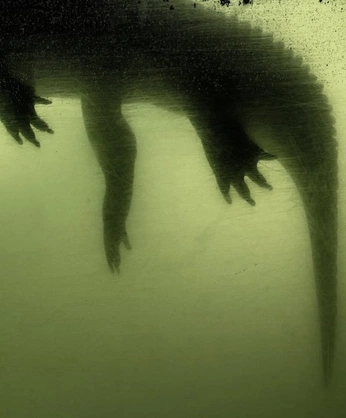 A cover of "COCODRILO" cluster. The owner is garrt.folk. The cluster consists of 10 elements.