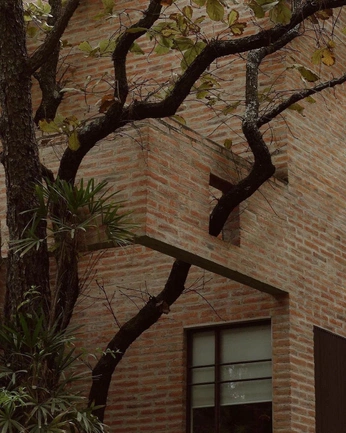 A cover of "Arquitetura" cluster. The owner is volpato.dwg. The cluster consists of 3 elements.