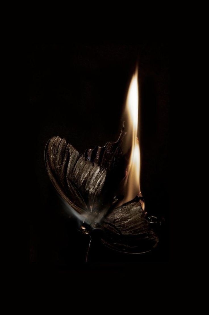 A Pinterest pin added by playful.being on Jan 04, 2024. The author is Gabi Giacomucci. May present: flash photography, art, gas, candle, fire.