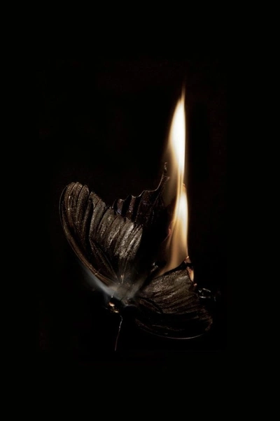 A Pinterest pin added by playful.being on Jan 04, 2024. The author is Gabi Giacomucci. May present: flash photography, art, gas, candle, fire.