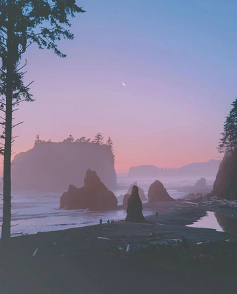 A cover of "PNW" cluster. The owner is kyla. The cluster consists of 1 element.