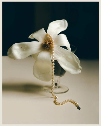 A cover of "PEARLS" cluster. The owner is es.ness. The cluster consists of 258 elements.