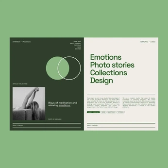 A cover of "Editorial design" cluster. The owner is tetyanag. The cluster consists of 3 elements.