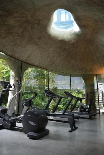 A cover of "planetfitness" cluster. The owner is carlaloeffler. The cluster consists of 20 elements.