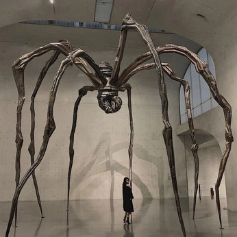 A cover of "Museum of Alterra" cluster. The owner is hofmann. The cluster consists of 15 elements.