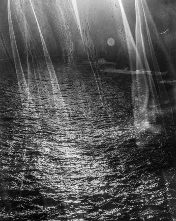 A cover of "b&w" cluster. The owner is emeestevez. The cluster consists of 12 elements.