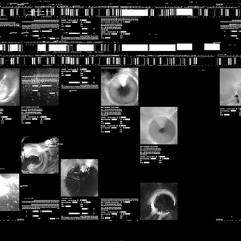 A cover of "inspo" cluster. The owner is evie.zo. The cluster consists of 19 elements.