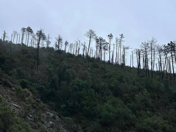 A cover of "standstill" cluster. The owner is carlaloeffler. The cluster consists of 13 elements.