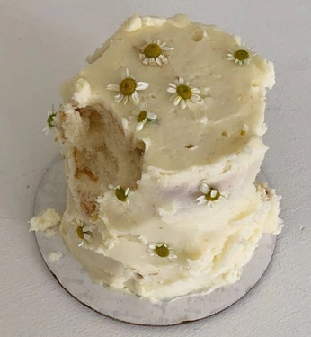 A cover of "Cake Art" cluster. The owner is alejandraolvera. The cluster consists of 9 elements.