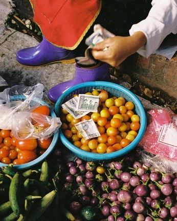 A cover of "cultural influences" cluster. The owner is studiobaxter. The cluster consists of 28 elements.