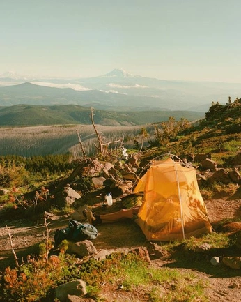 A cover of "IPA HCD" cluster. The owner is cohenrx. The cluster consists of 37 elements.