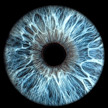 A cover of "Голубая Радужка" cluster. The owner is irismoscow. The cluster consists of 31 elements.