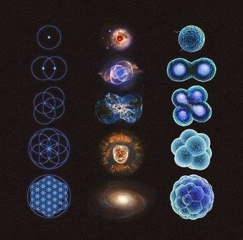 A cover of "space baby" cluster. The owner is bbisamess. The cluster consists of 3 elements.