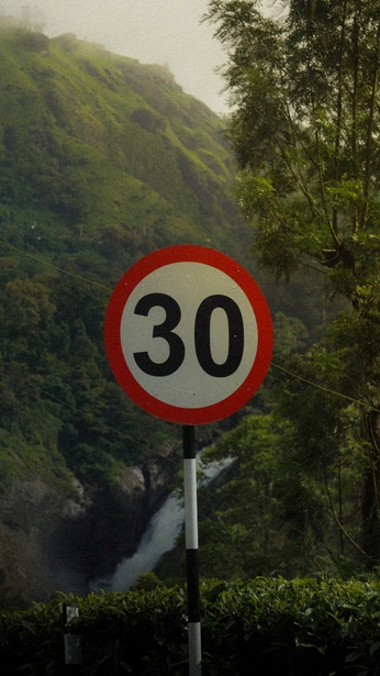 A cover of "randoms" cluster. The owner is the.albatrox. The cluster consists of 22 elements.