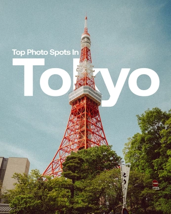 A cover of "toyko" cluster. The owner is mongrelmessiah. The cluster consists of 38 elements.