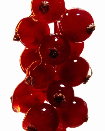 A cover of "vision 7w1" cluster. The owner is psychobath. The cluster consists of 25 elements.