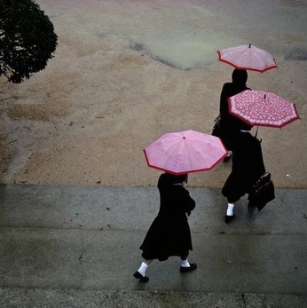 A cover of "ditto" cluster. The owner is astraltraveller. The cluster description is "forgotten timeline". The cluster consists of 17 elements.