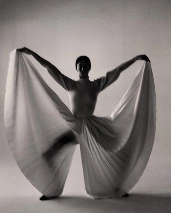 A cover of "studio reference" cluster. The owner is duckstudio. The cluster consists of 14 elements.