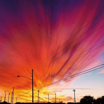 Cover of 2016 cluster