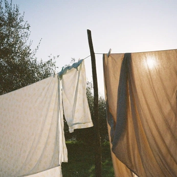 A cover of "abode" cluster. The owner is calico.ro. The cluster consists of 5 elements.