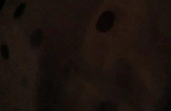 A cover of "macro" cluster. The owner is giftedart. The cluster consists of 35 elements.