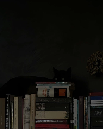 A cover of "cottage - scottish coast" cluster. The owner is reaganfree. The cluster consists of 8 elements.