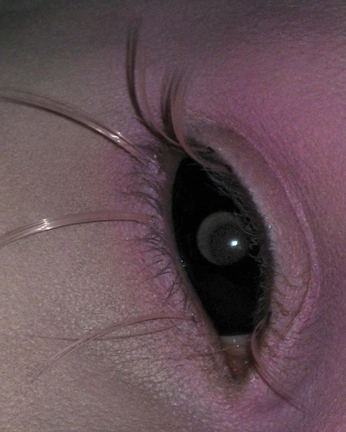 A cover of "Nymph" cluster. The owner is voreangel. The cluster consists of 3 elements.