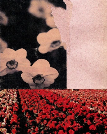 A cover of "art: gen insp" cluster. The owner is kiieyla. The cluster consists of 16 elements.