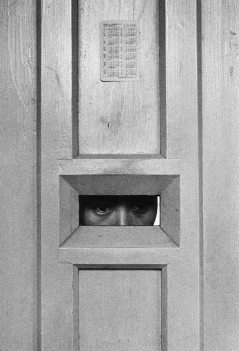 A cover of "Photography" cluster. The owner is anthonyasencios. The cluster consists of 8 elements.