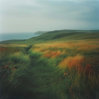 A cover of "nature +" cluster. The owner is a1n0. The cluster consists of 46 elements.